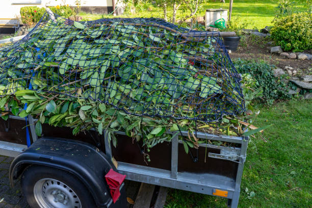 Best Carpet Removal and Disposal  in Caldwell, OH